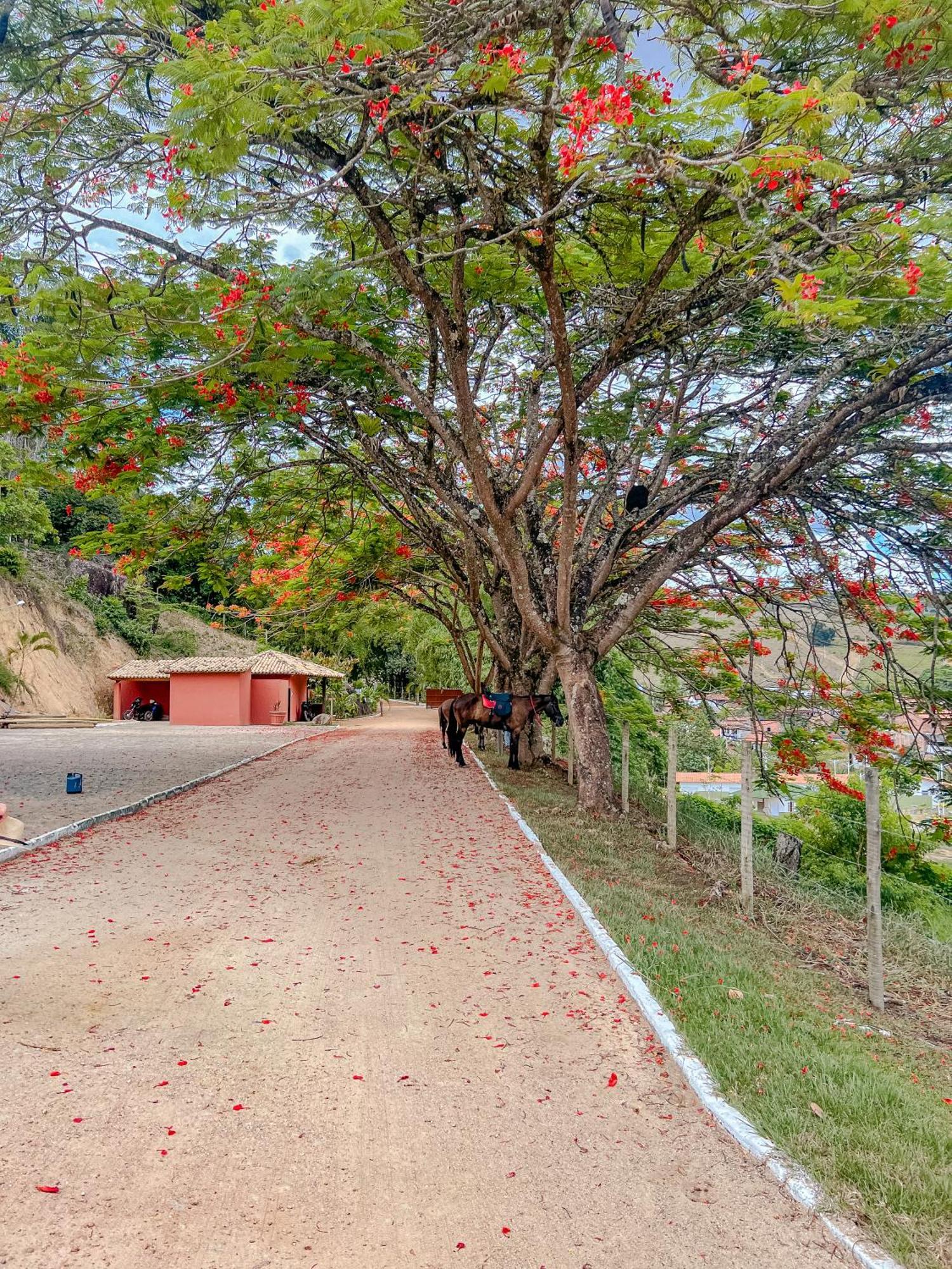 Hotel Vale Do Jiquirica Экстерьер фото